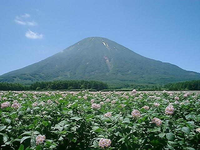JAようてい